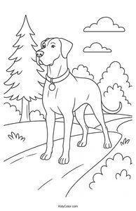 Great Dane