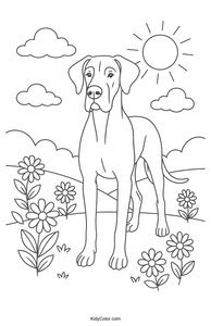 Great Dane