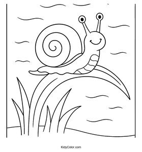 Snails