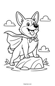 Corgi
