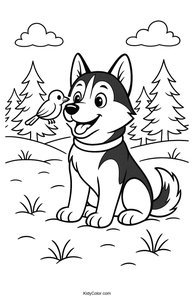 Husky