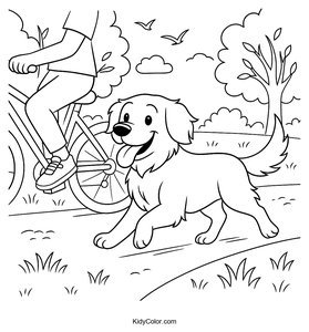 Golden Retriever