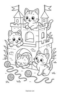 Cats