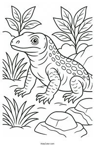 Lizards