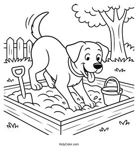 Labrador
