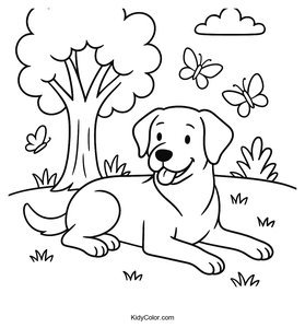 Labrador