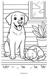 Labrador
