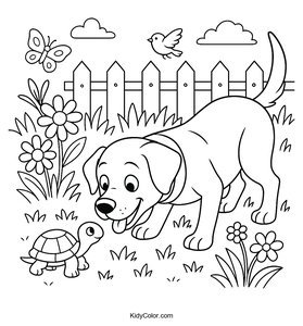 Labrador
