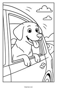 Labrador