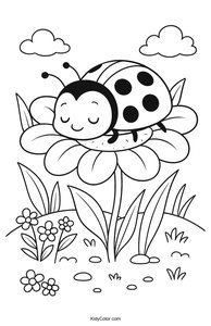 Ladybugs