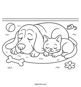 Basset Hound
