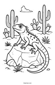 Lizards