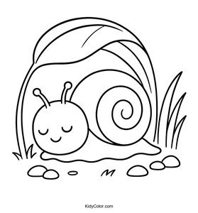 Snails