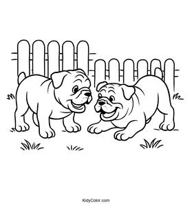 Bulldog