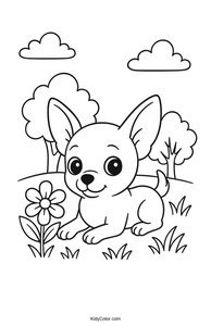 Chihuahua