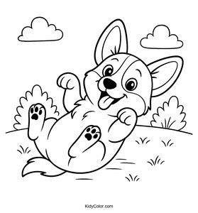 Corgi