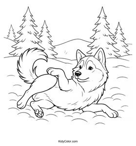 Husky