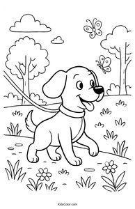 Dogs