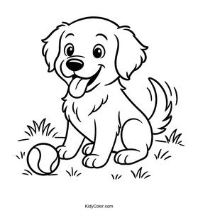 Golden Retriever