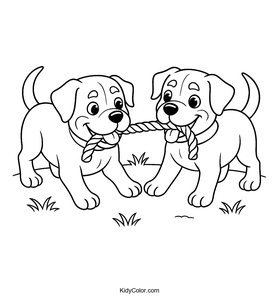 Rottweiler