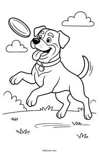 Rottweiler