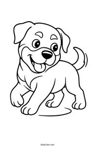 Rottweiler