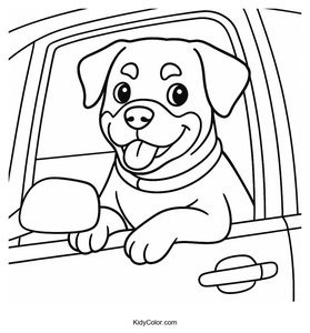 Rottweiler