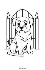 Rottweiler