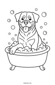 Rottweiler