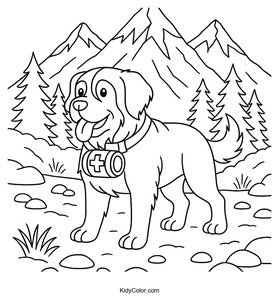 Mountain Rescue
