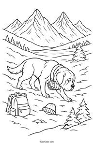 Mountain Rescue