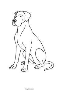 Great Dane