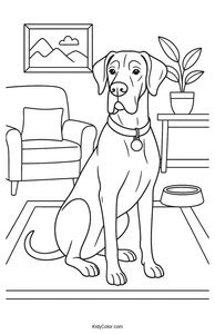 Great Dane