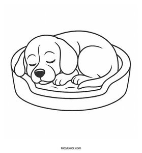 Beagle