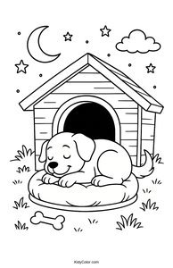 Dogs