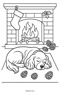 Cocker Spaniel