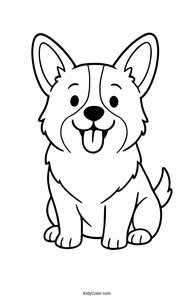 Corgi