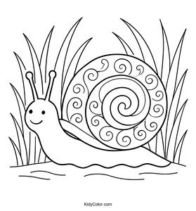 Snails