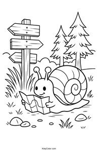 Snails