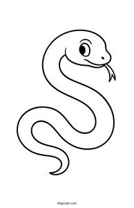 Snakes
