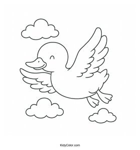 Ducks