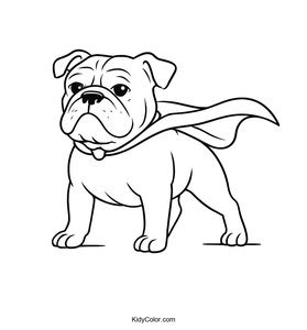 Bulldog