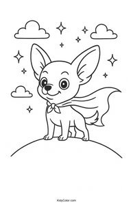 Chihuahua