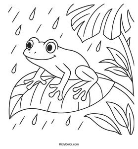 Frogs