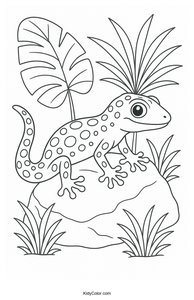 Geckos