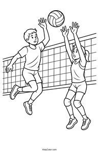 Volleyball