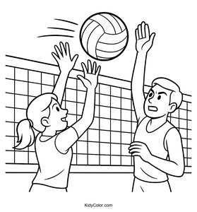 Volleyball