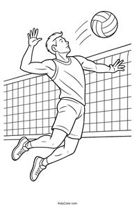 Volleyball