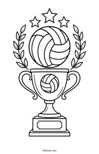 Volleyball
