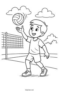 Volleyball